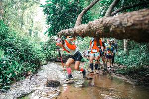 BIB: 
                            <button type="button" onclick="openModal(25374088)" class="btn btn-primary btn-sm float-right btn-popup" data-toggle="modal" data-target=".modal-high-quality">
                        <i class="fas fa-shopping-cart"></i> Add to Cart
                    </button>
                                            <button type="button" onclick="isThisMe(25374088, true)" class="btn btn-success btn-sm float-right btn-popup btn-isme hidden" data-toggle="tooltip" data-placement="bottom" title="นี่คือรูปของคุณใช่ไหม คลิกที่นี่เพื่อเอาเข้าอัลบั้ม">
                        <i class="fas fa-plus"></i> Add to album
                    </button>
                    <button type="button" onclick="isThisMe(25374088, false)" class="btn btn-warning btn-sm float-right btn-popup btn-isnotme hidden">
                        <i class="fas fa-ban"></i> Remove from album
                    </button>